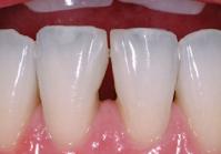 019_62.img_assist_custom.jpg
